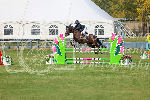 2025 - Shea - Fall Finale - Sunday September 14th - 11245