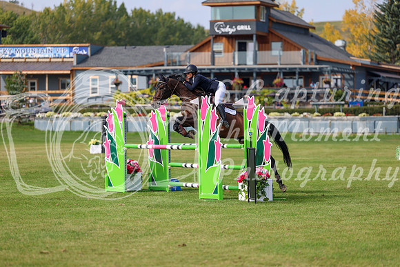 2025 - Shea - Fall Finale - Sunday September 14th - 11247