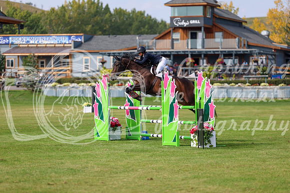 2025 - Shea - Fall Finale - Sunday September 14th - 11249