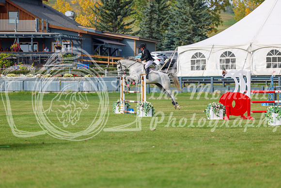 2025 - Shea - Fall Finale - Sunday September 14th - 11284