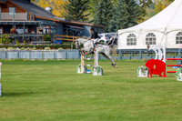 2025 - Shea - Fall Finale - Sunday September 14th - 11285