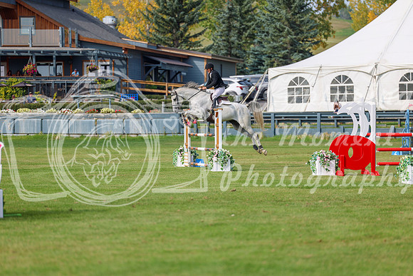 2025 - Shea - Fall Finale - Sunday September 14th - 11285