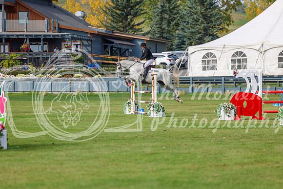 2025 - Shea - Fall Finale - Sunday September 14th - 11286