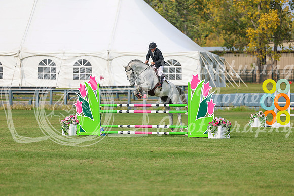 2025 - Shea - Fall Finale - Sunday September 14th - 11288