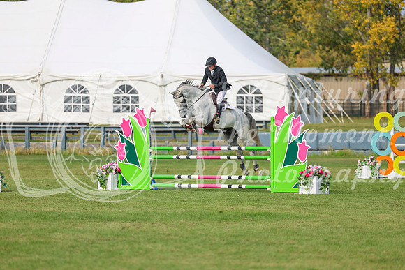 2025 - Shea - Fall Finale - Sunday September 14th - 11290