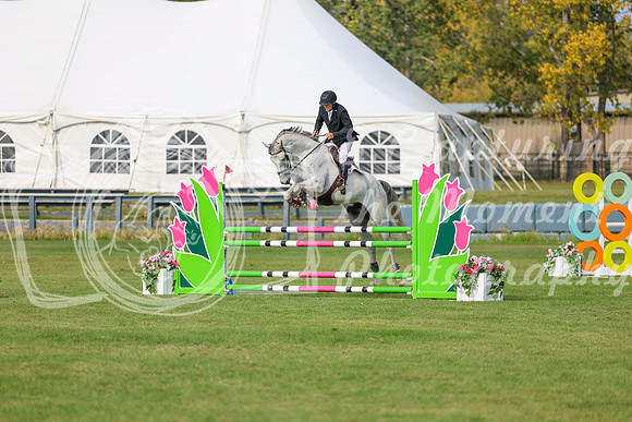 2025 - Shea - Fall Finale - Sunday September 14th - 11289