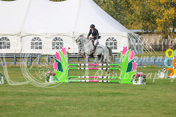 2025 - Shea - Fall Finale - Sunday September 14th - 11291