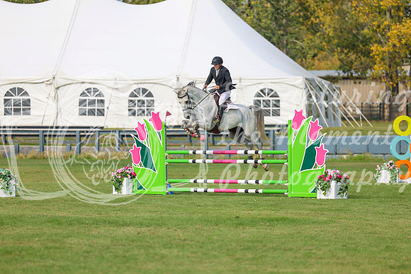 2025 - Shea - Fall Finale - Sunday September 14th - 11292