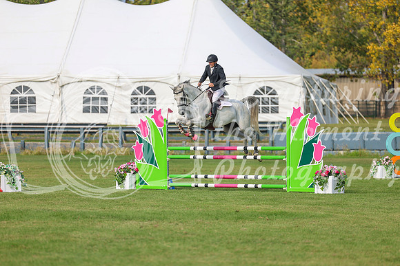2025 - Shea - Fall Finale - Sunday September 14th - 11293