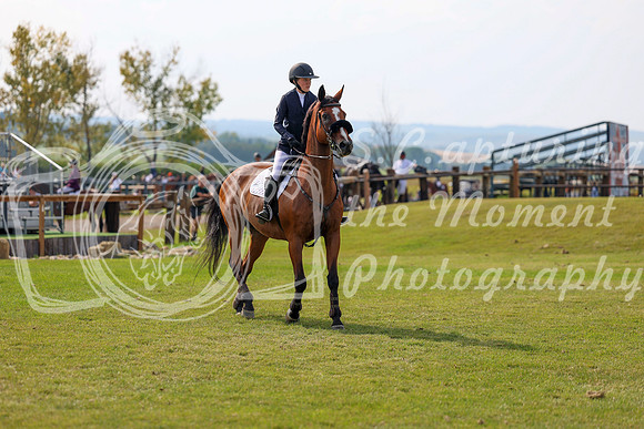 2025 - Shea - Fall Finale - Sunday September 14th - 11675