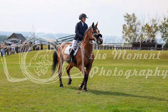 2025 - Shea - Fall Finale - Sunday September 14th - 11679