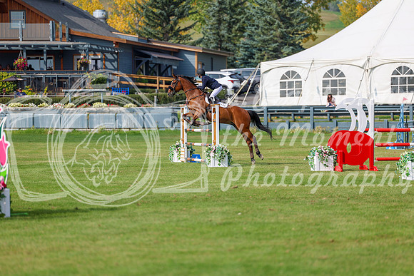 2025 - Shea - Fall Finale - Sunday September 14th - 11684