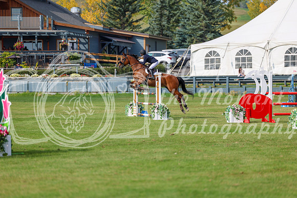 2025 - Shea - Fall Finale - Sunday September 14th - 11685