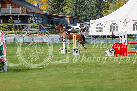 2025 - Shea - Fall Finale - Sunday September 14th - 11686