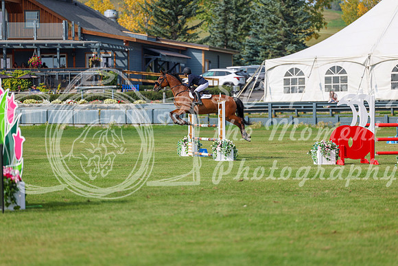 2025 - Shea - Fall Finale - Sunday September 14th - 11687