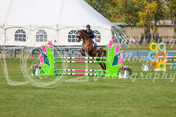 2025 - Shea - Fall Finale - Sunday September 14th - 11688