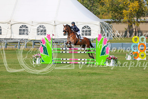 2025 - Shea - Fall Finale - Sunday September 14th - 11691