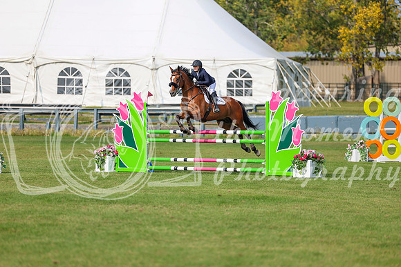 2025 - Shea - Fall Finale - Sunday September 14th - 11692
