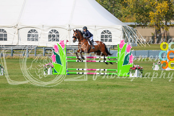 2025 - Shea - Fall Finale - Sunday September 14th - 11693