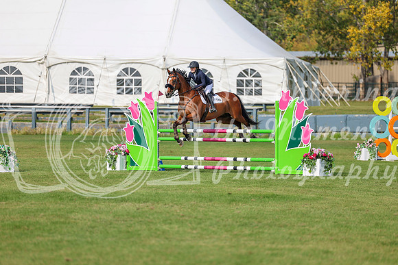 2025 - Shea - Fall Finale - Sunday September 14th - 11694
