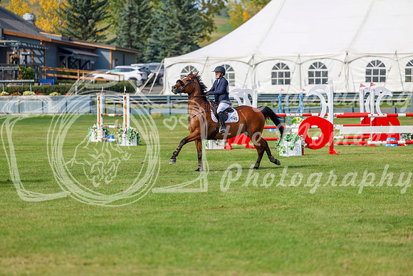 2025 - Shea - Fall Finale - Sunday September 14th - 11697