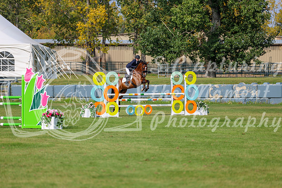 2025 - Shea - Fall Finale - Sunday September 14th - 11748