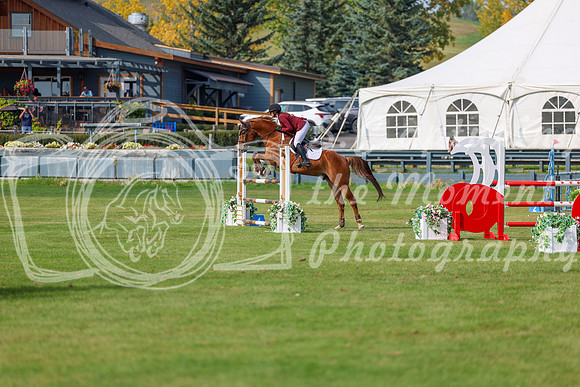 2025 - Shea - Fall Finale - Sunday September 14th - 11884