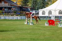2025 - Shea - Fall Finale - Sunday September 14th - 11885