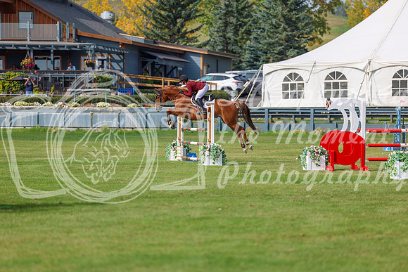 2025 - Shea - Fall Finale - Sunday September 14th - 11887
