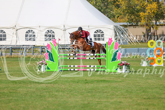2025 - Shea - Fall Finale - Sunday September 14th - 11891