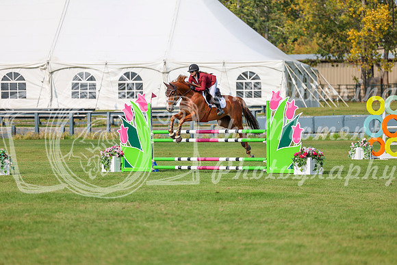 2025 - Shea - Fall Finale - Sunday September 14th - 11893