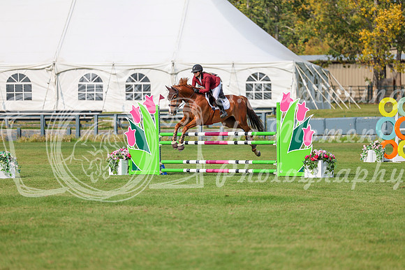 2025 - Shea - Fall Finale - Sunday September 14th - 11894