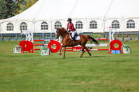 2025 - Shea - Fall Finale - Sunday September 14th - 11896