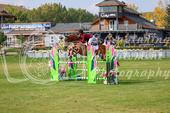 2025 - Shea - Fall Finale - Sunday September 14th - 11900
