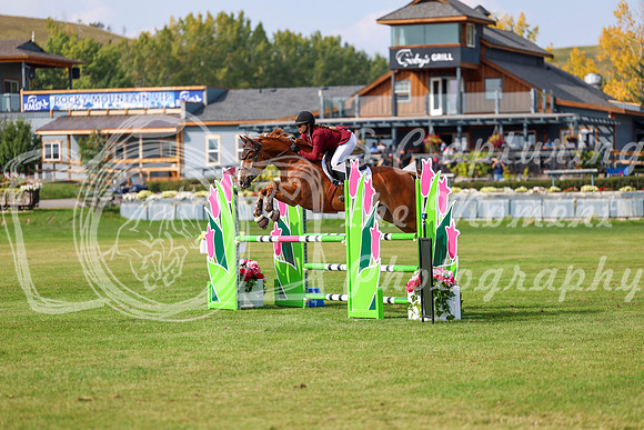 2025 - Shea - Fall Finale - Sunday September 14th - 11901