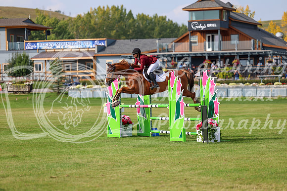 2025 - Shea - Fall Finale - Sunday September 14th - 11903