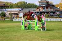 2025 - Shea - Fall Finale - Sunday September 14th - 11902