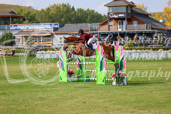 2025 - Shea - Fall Finale - Sunday September 14th - 11902