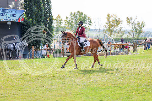 2025 - Shea - Fall Finale - Sunday September 14th - 11907