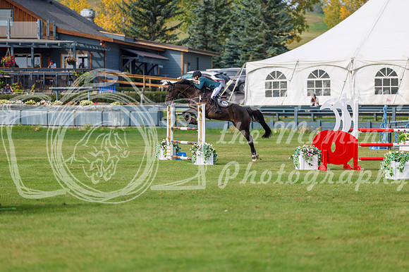 2025 - Shea - Fall Finale - Sunday September 14th - 11385
