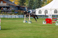 2025 - Shea - Fall Finale - Sunday September 14th - 11386