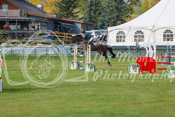 2025 - Shea - Fall Finale - Sunday September 14th - 11386