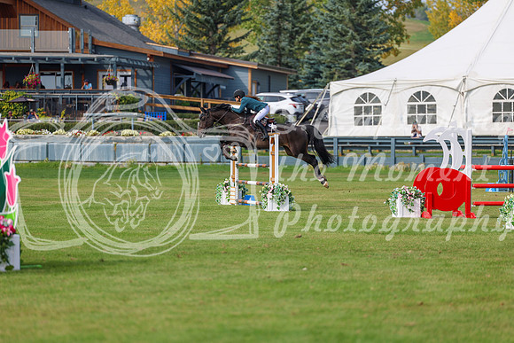 2025 - Shea - Fall Finale - Sunday September 14th - 11388