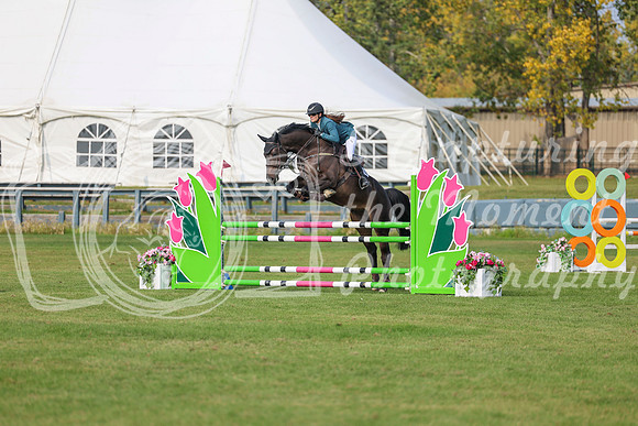 2025 - Shea - Fall Finale - Sunday September 14th - 11390