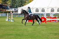 2025 - Shea - Fall Finale - Sunday September 14th - 11397