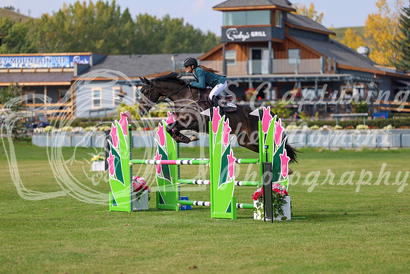2025 - Shea - Fall Finale - Sunday September 14th - 11402