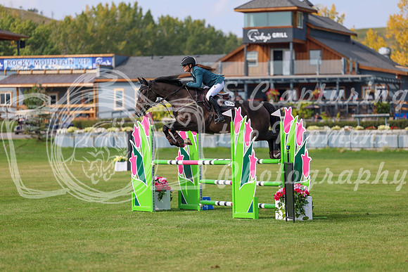 2025 - Shea - Fall Finale - Sunday September 14th - 11404