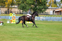 2025 - Shea - Fall Finale - Sunday September 14th - 11485