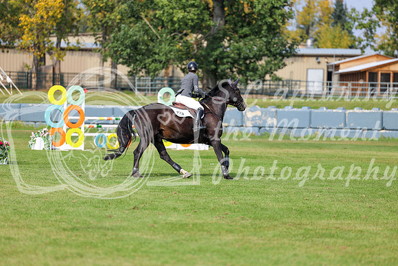 2025 - Shea - Fall Finale - Sunday September 14th - 11487