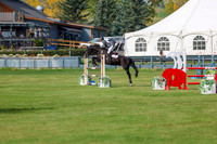 2025 - Shea - Fall Finale - Sunday September 14th - 11488